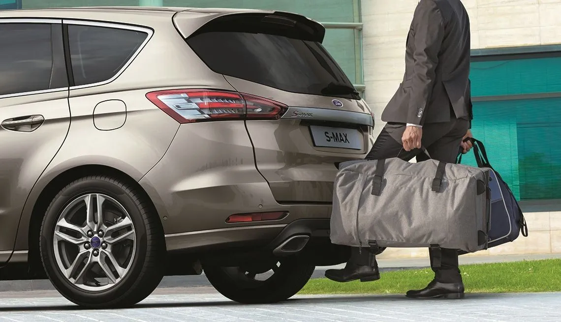 7692005-ford-s-max.jpg