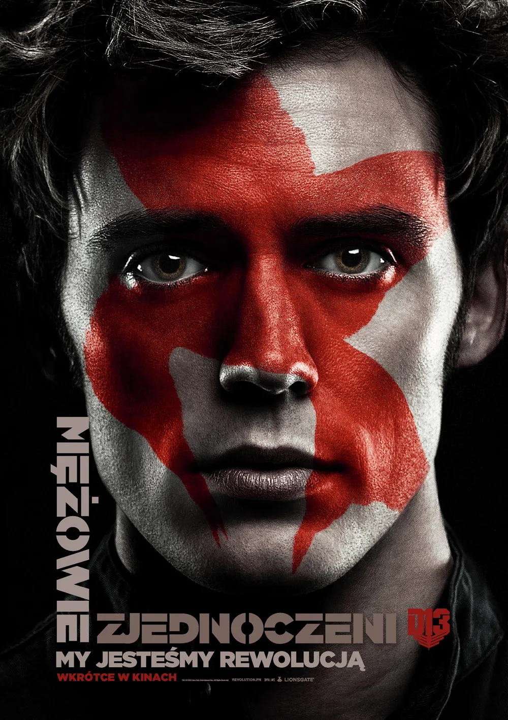 7975904-finnick.png