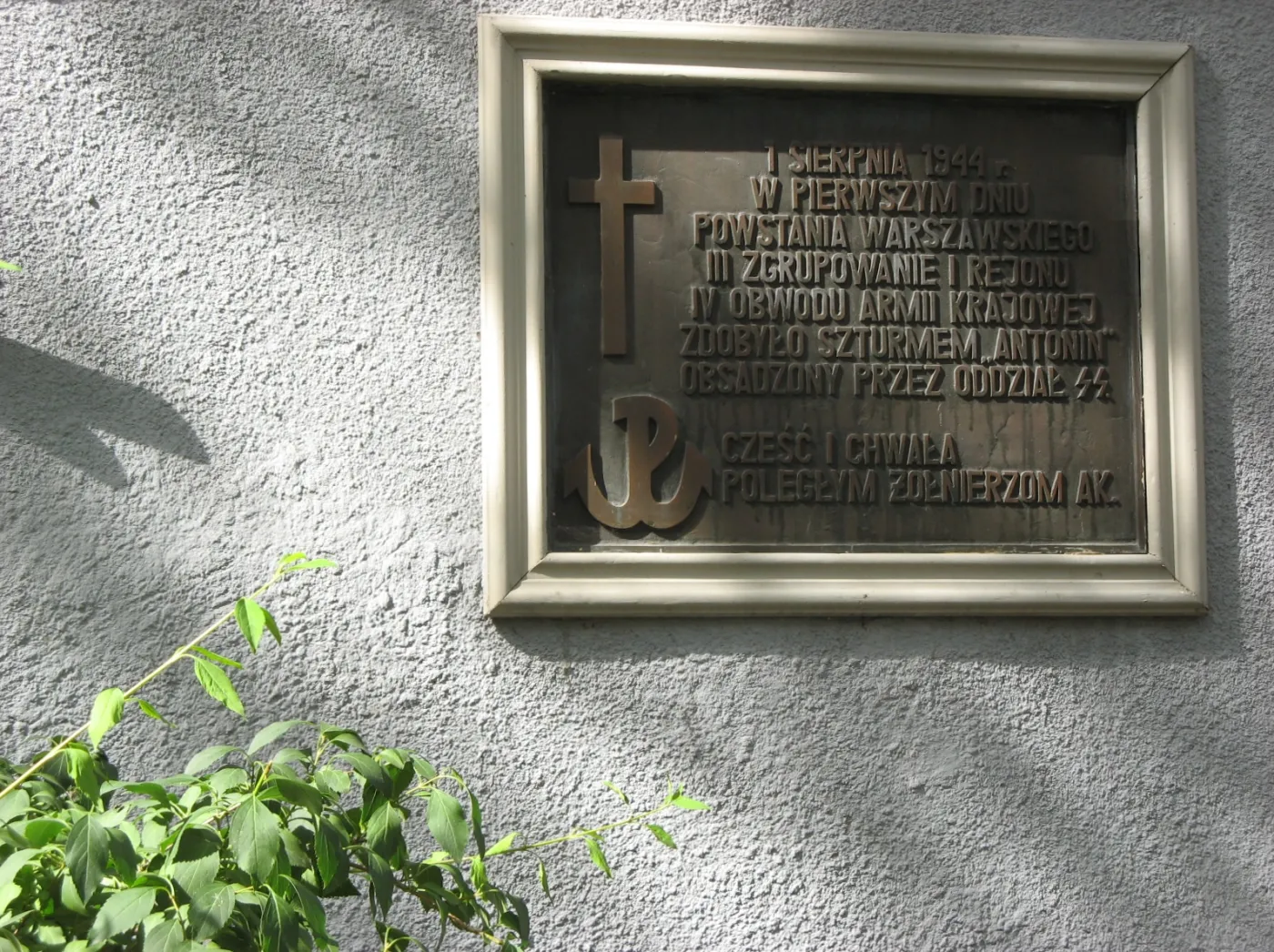 5265242-warszawa.jpg