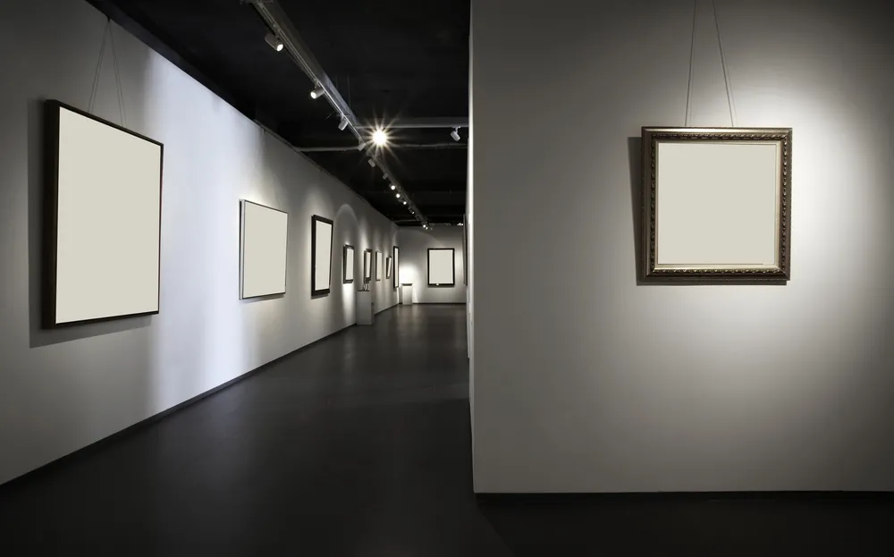 8020999-galeria.jpg
