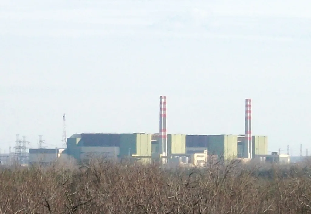8024602-wikimedia.jpg
