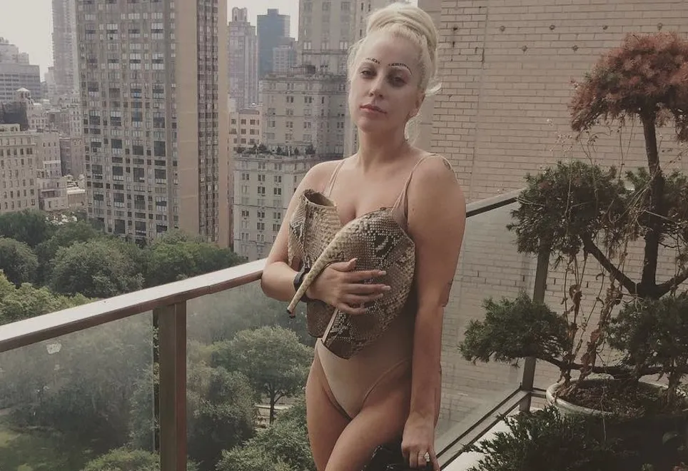 8028384-lady-gaga.jpg