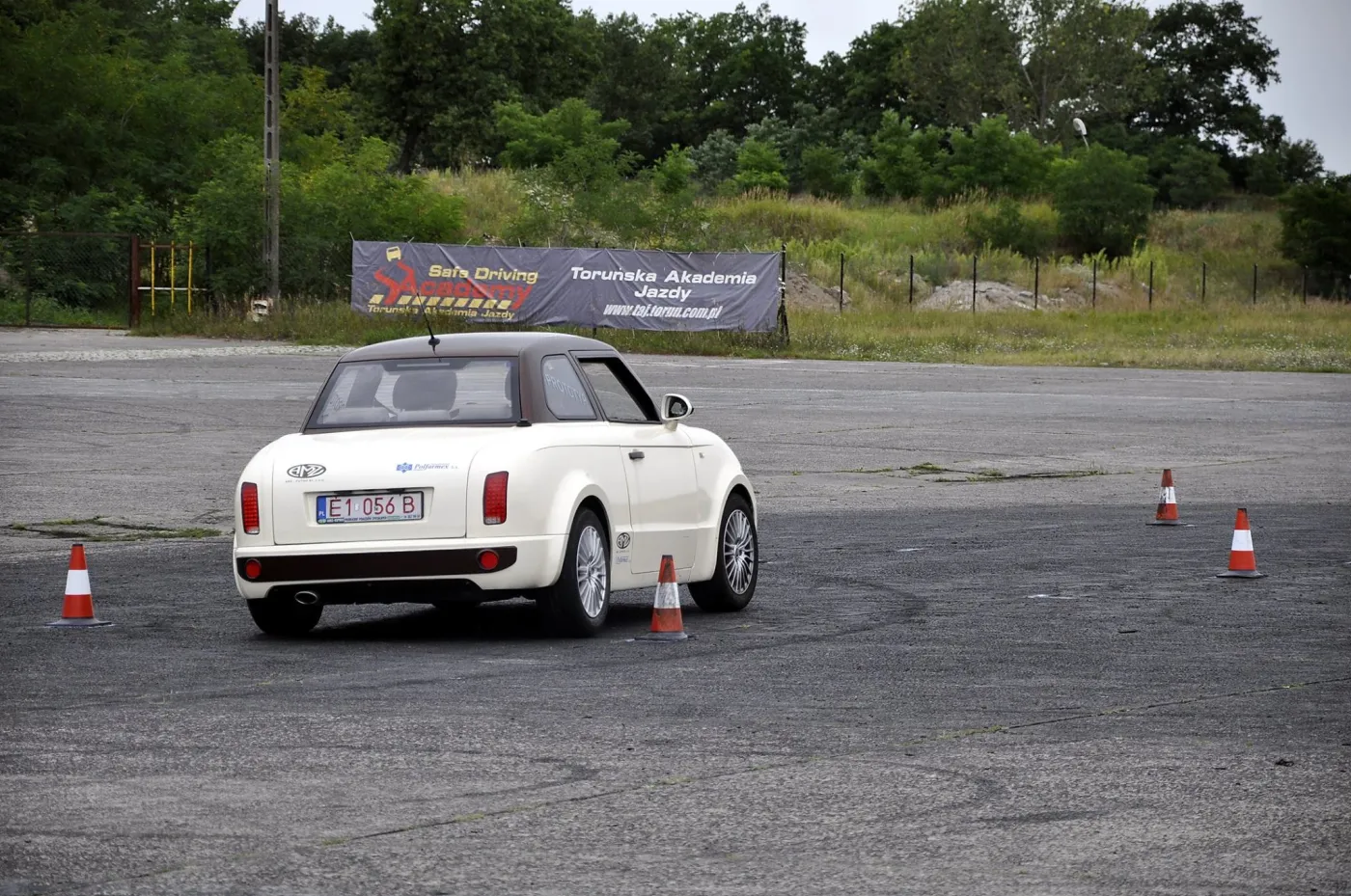 8060434-syrenka.jpg