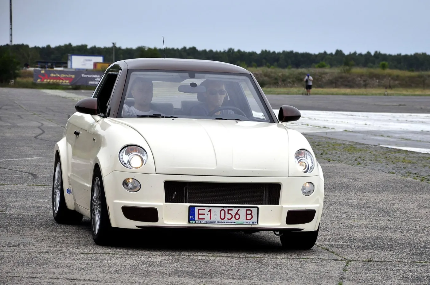 8060005-syrenka.jpg