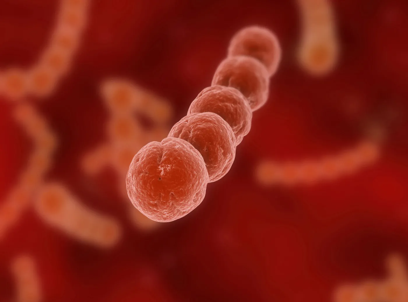 Pneumokoki - zagrożenie nie tylko dla najmłodszych