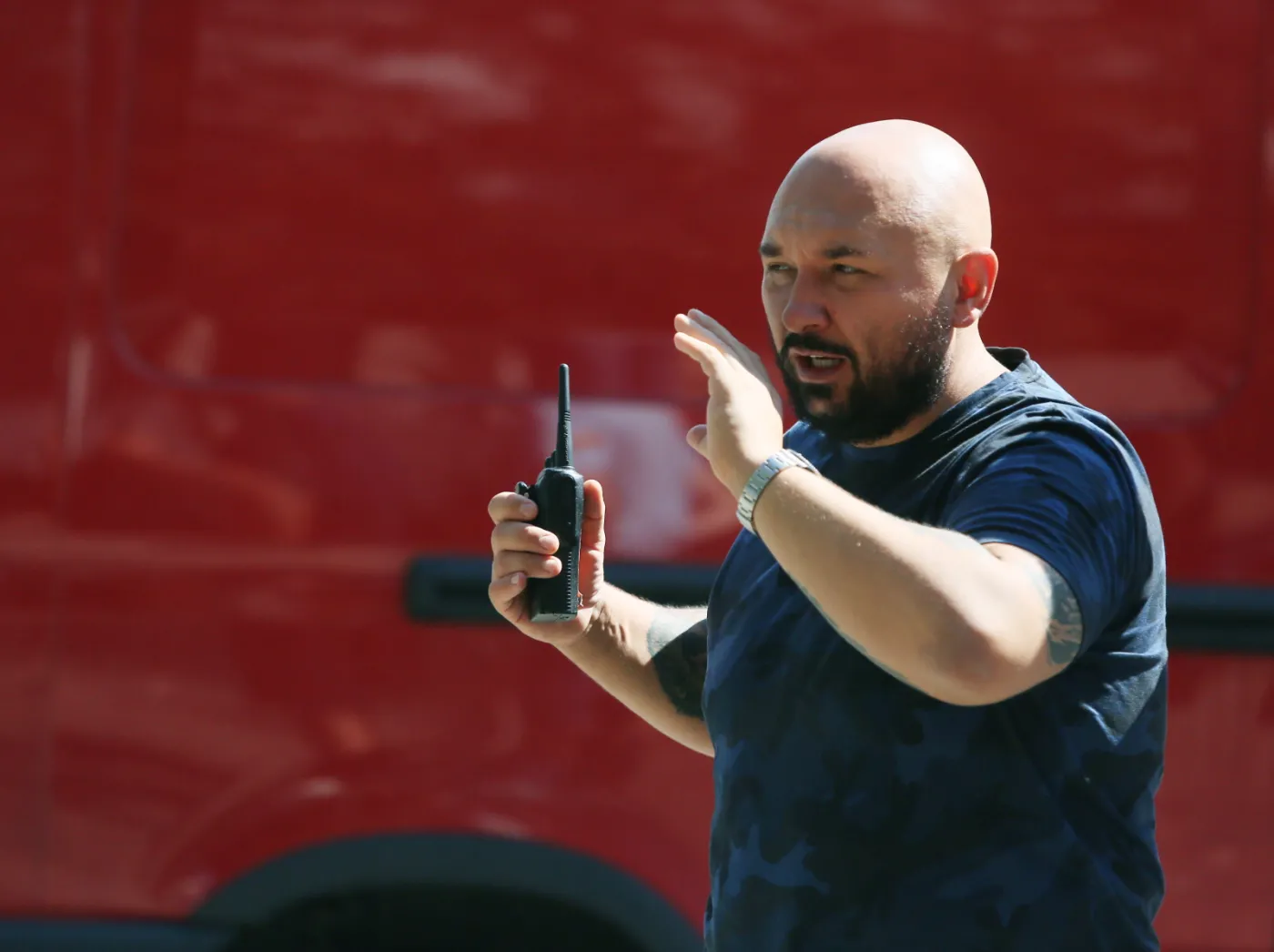 8109821-pitbull.jpg
