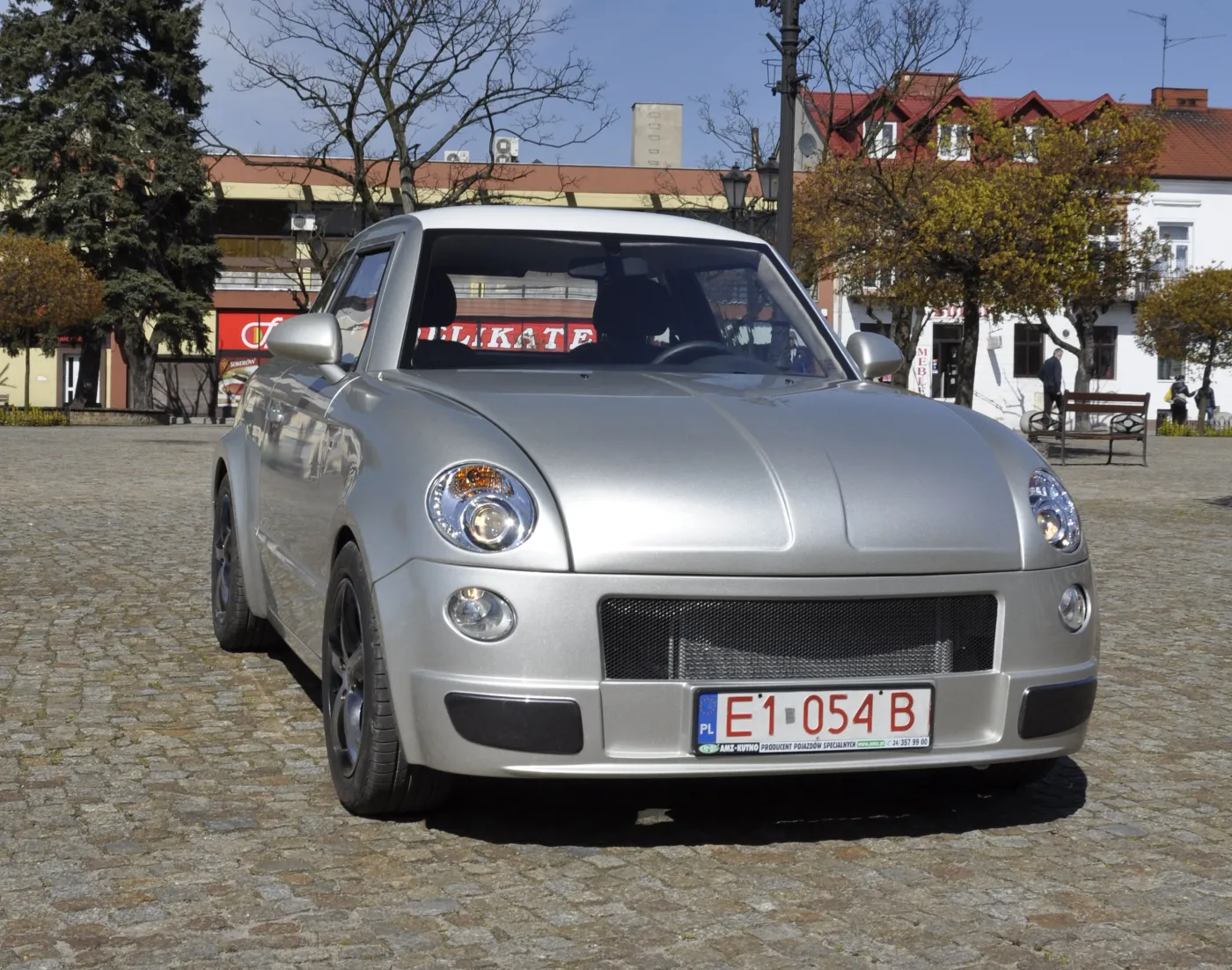 7925365-syrenka.jpg