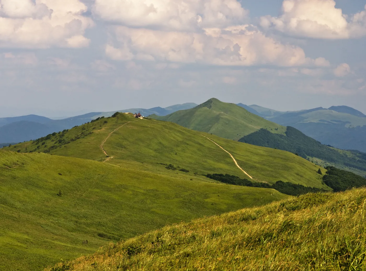 Atak niedźwiedzia. Agresywne zwierzę zaatakowało GOPR-owców
