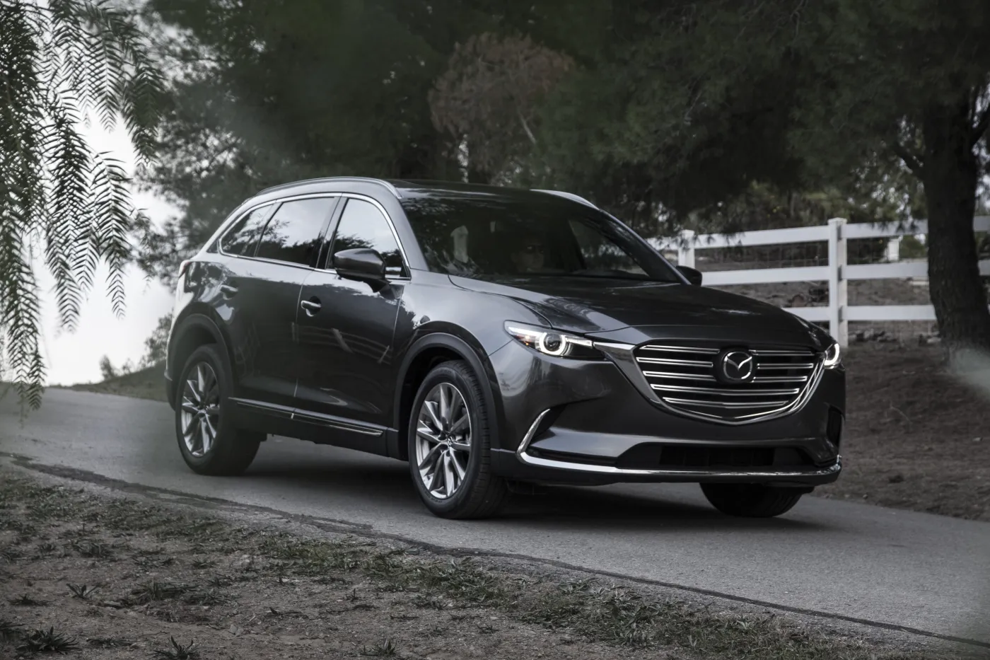 8443870-mazda-cx-9.jpg