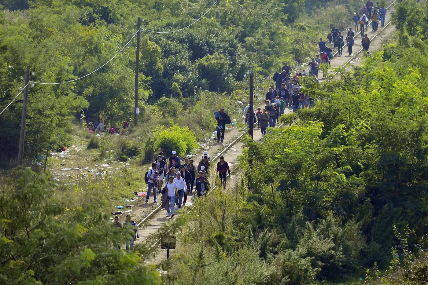 Imigranci