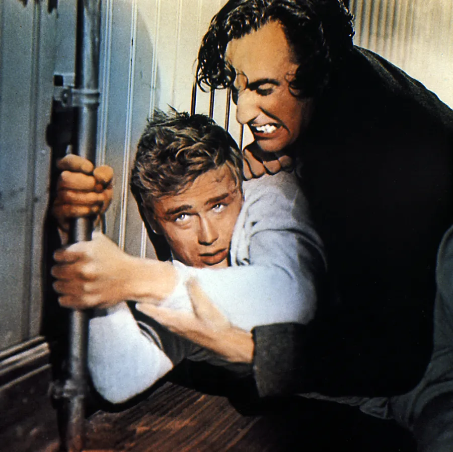 8267453-james-dean.jpg