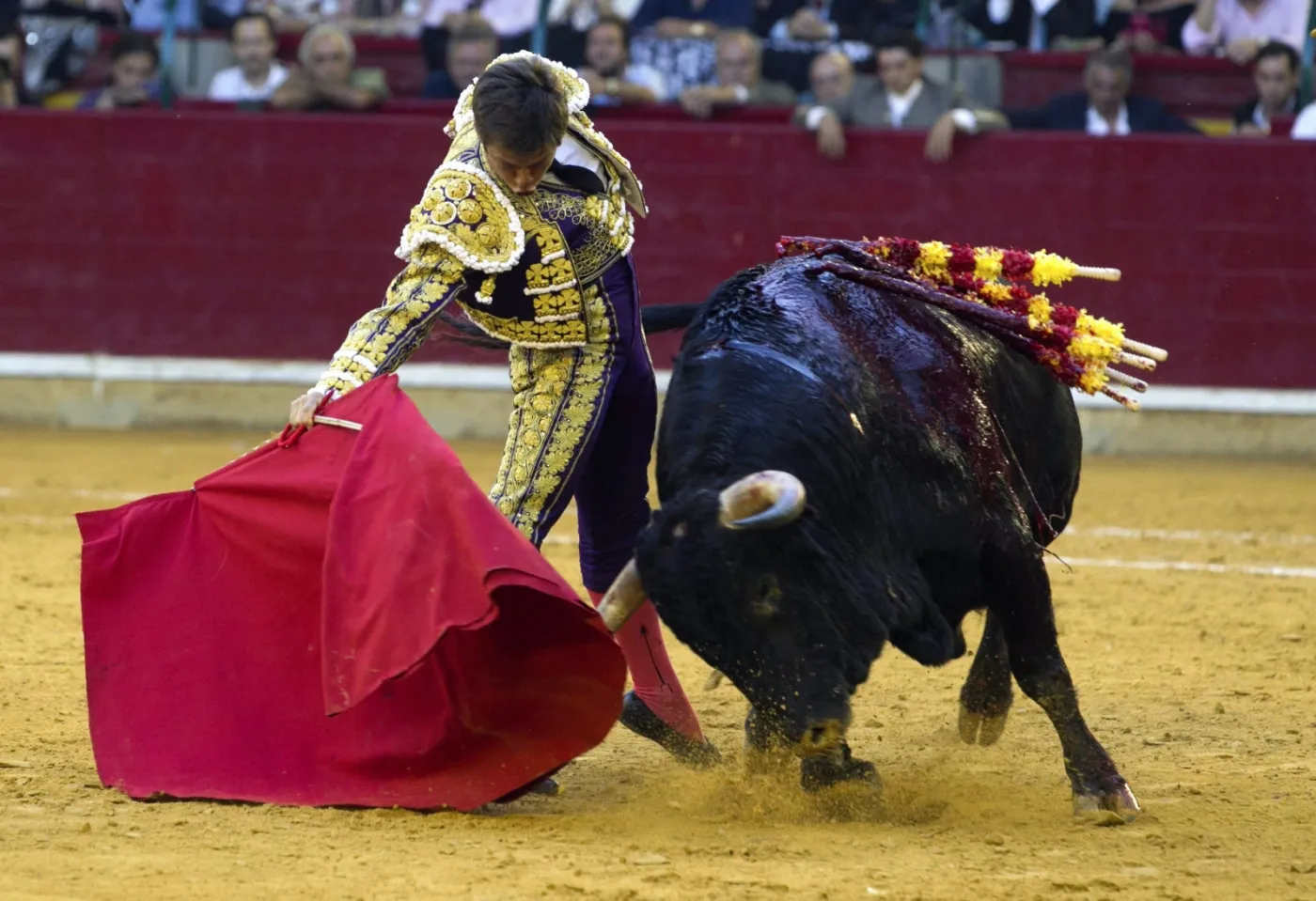 8312736-saragossa.jpg