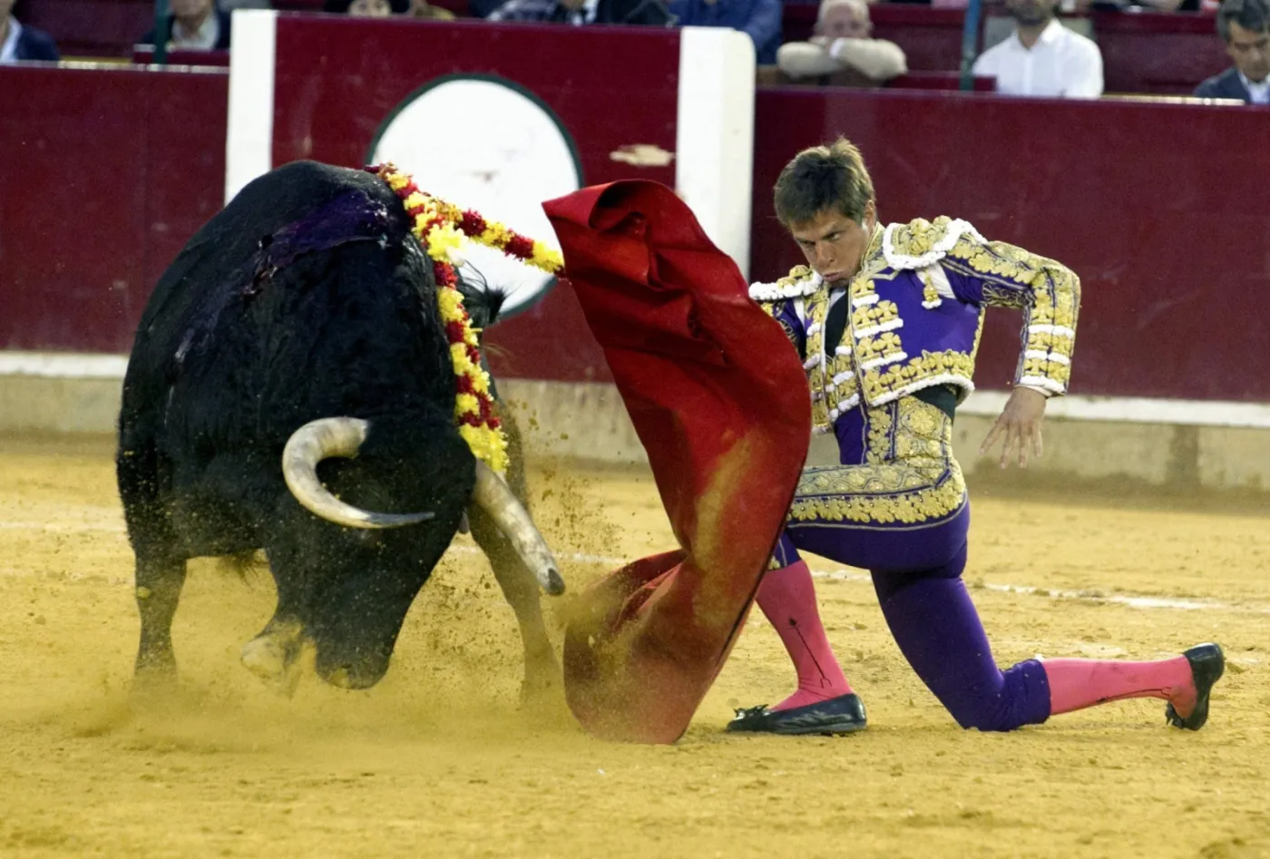8312768-saragossa.jpg