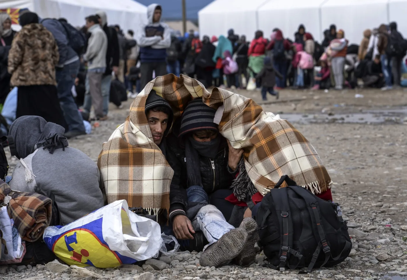 Imigranci