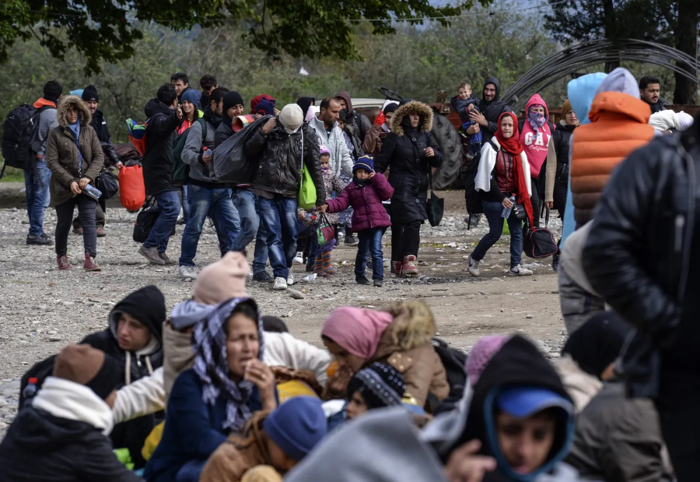 Imigranci