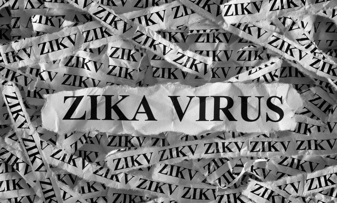 Wirus Zika