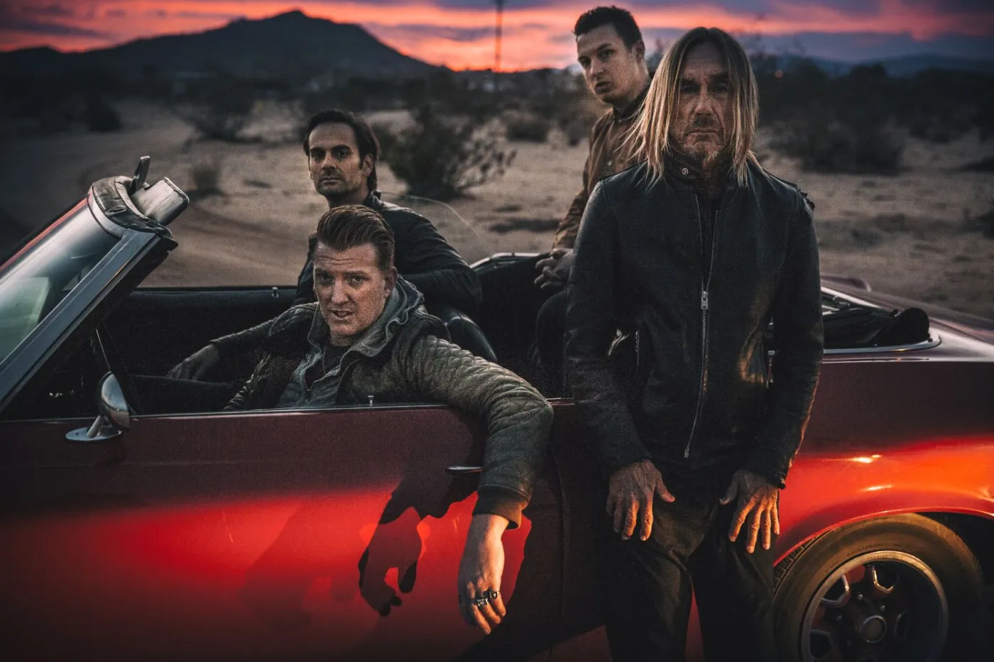 8848097-iggy-pop.jpg