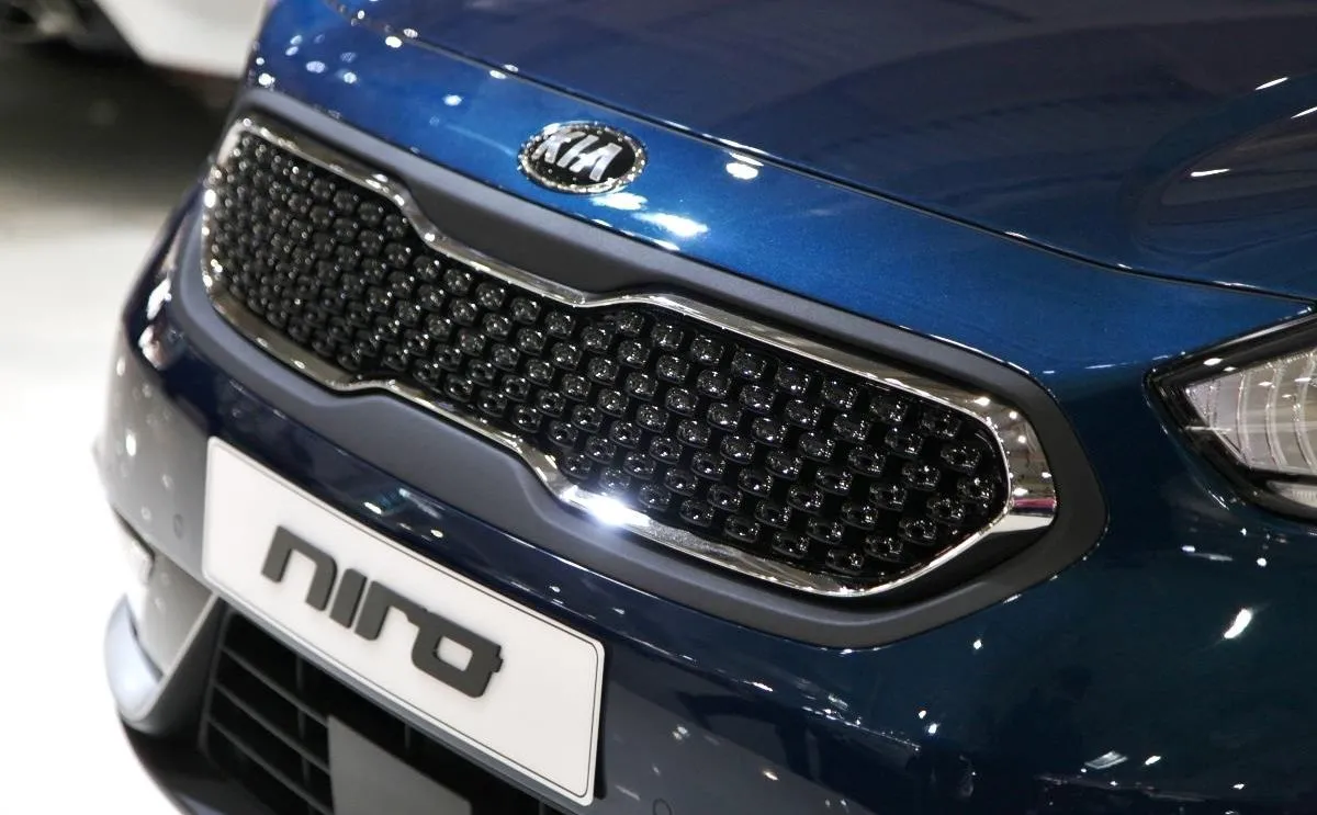 8923604-kia-niro.jpg