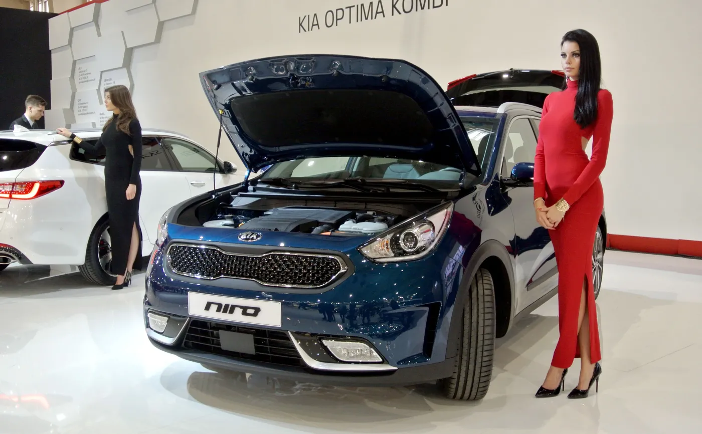 8923287-kia-niro.jpg