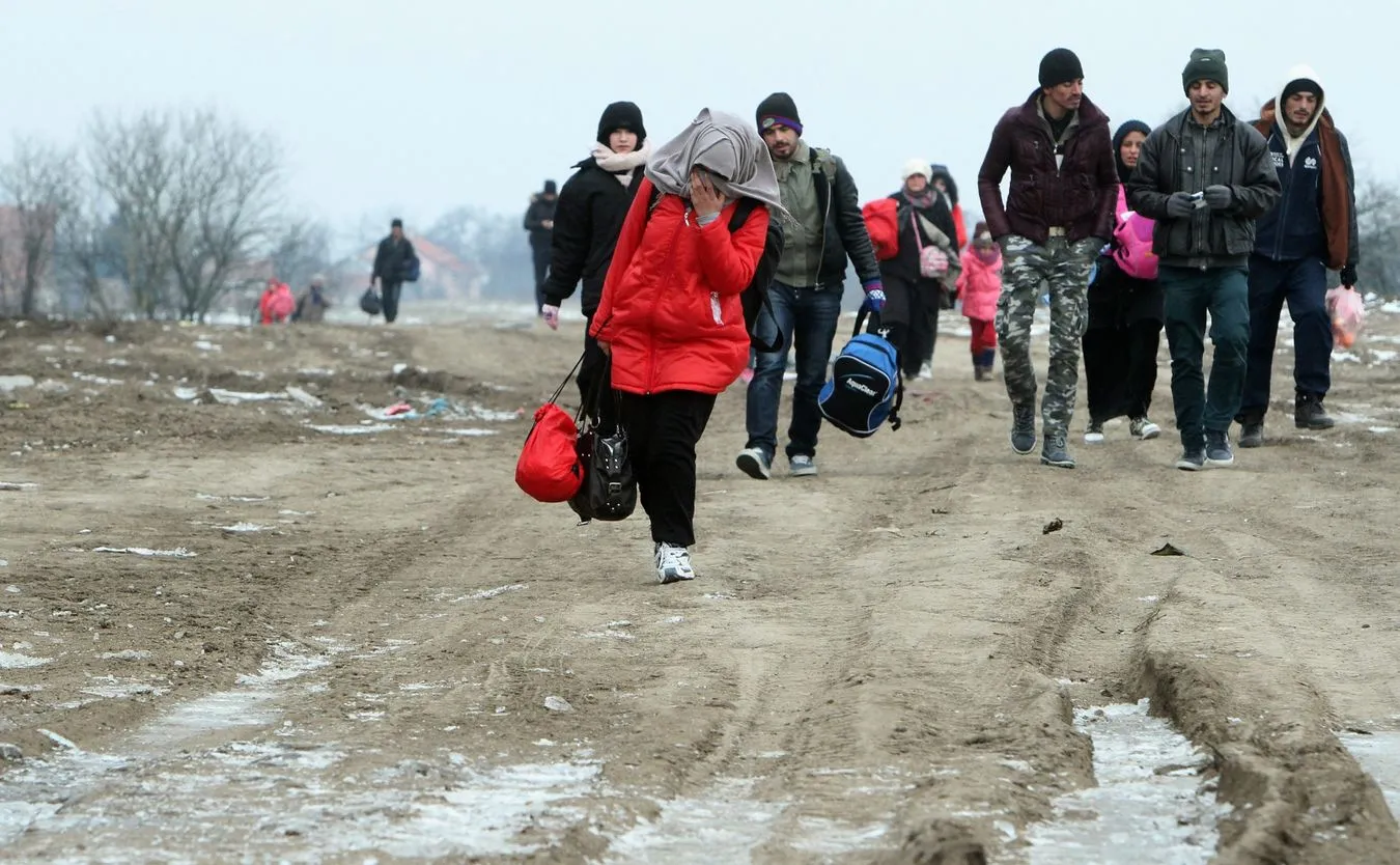 Imigranci