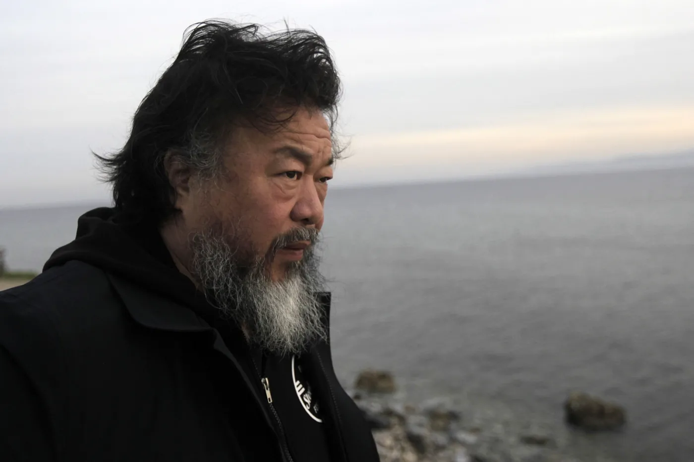 8742190-ai-weiwei.jpg