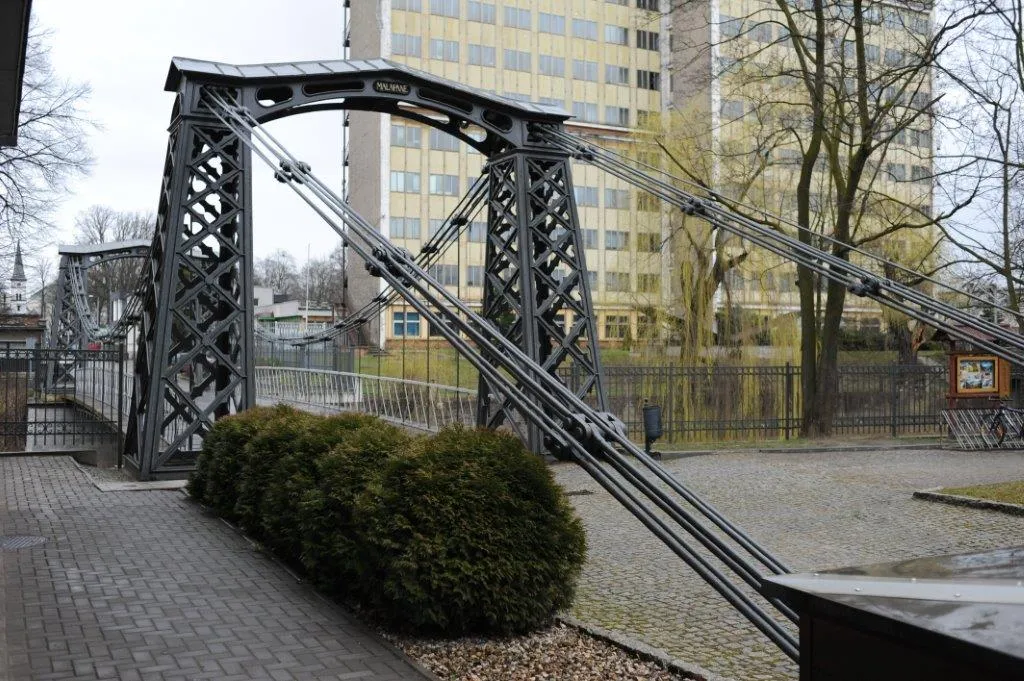 9977169-ozimek-fot.jpg