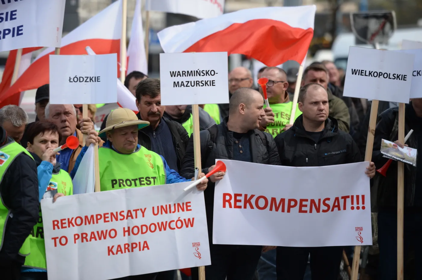 10094126-protesty.jpg