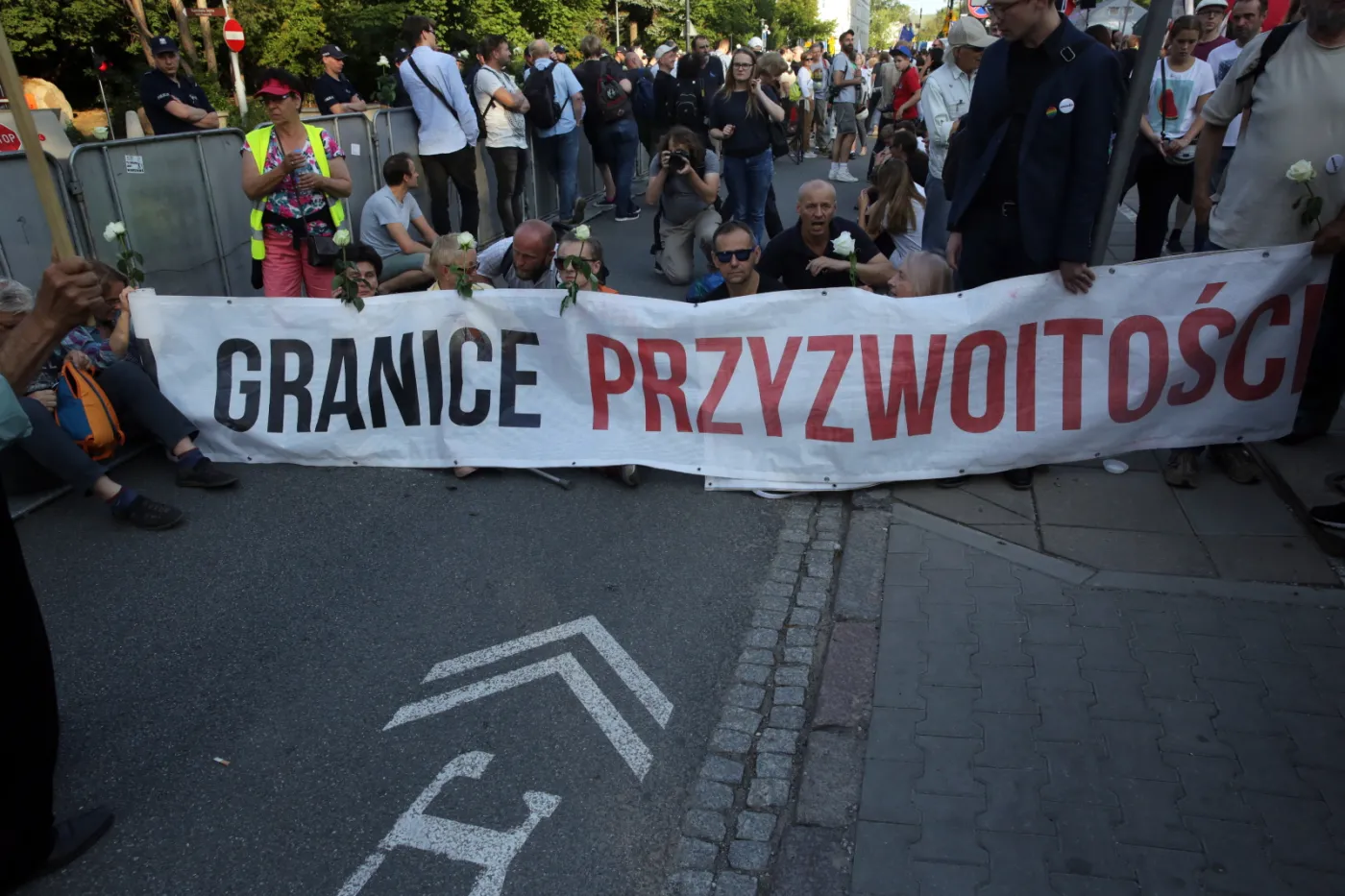 10321130-pikieta.jpg