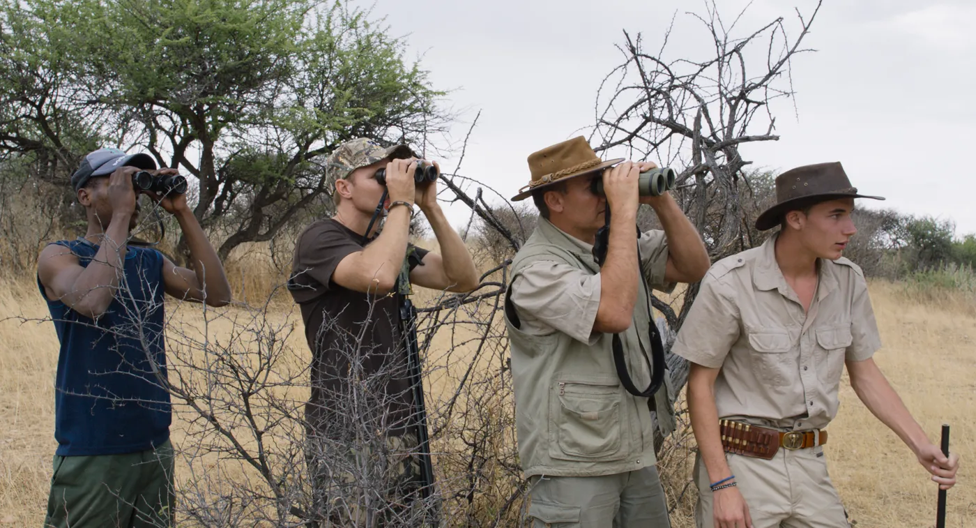 Safari