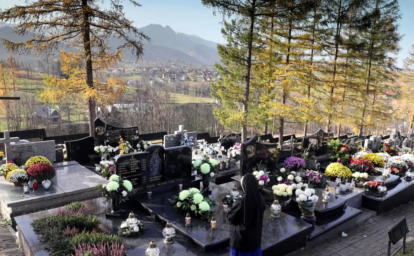 11669337-zakopane.jpg