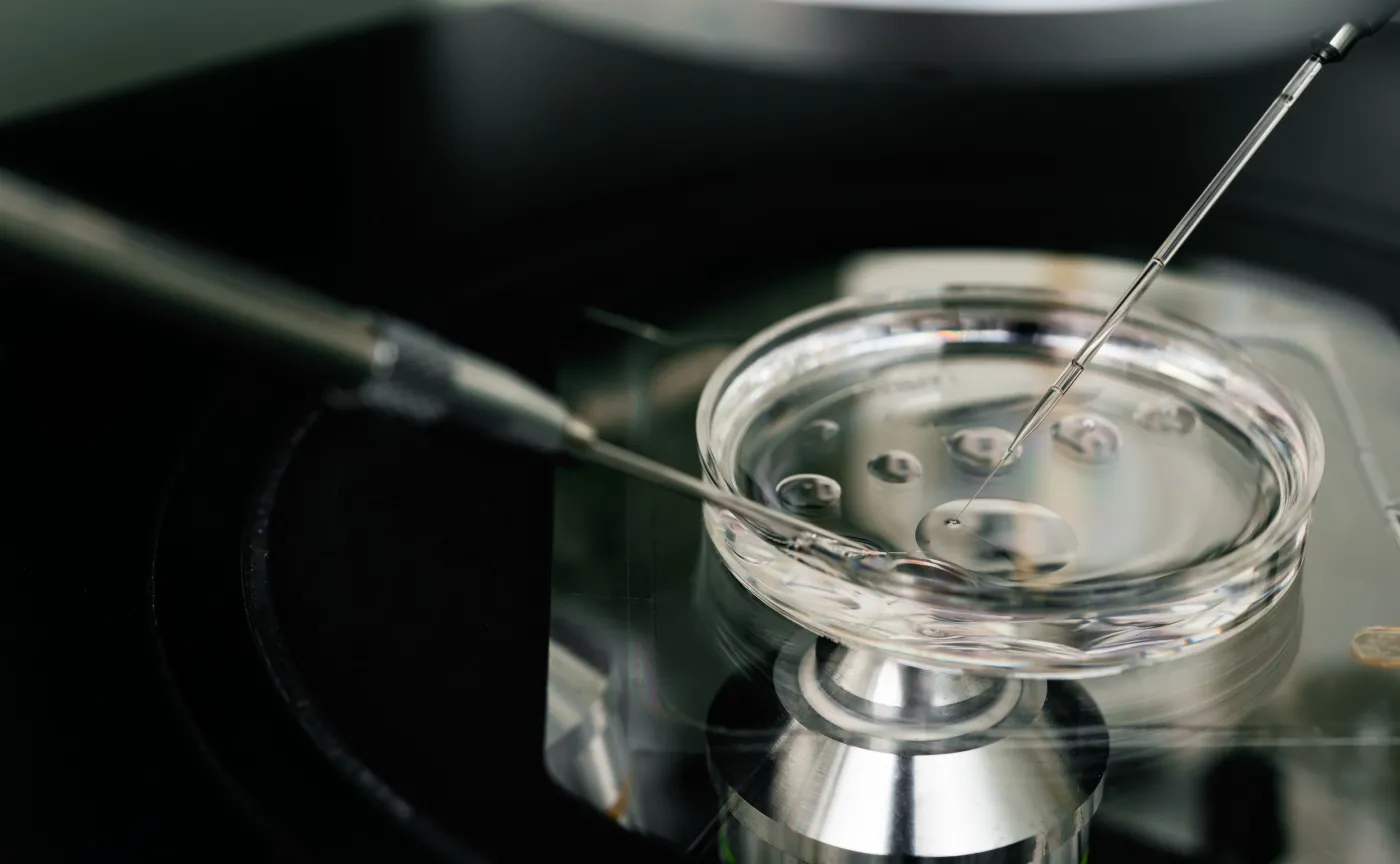 In vitro