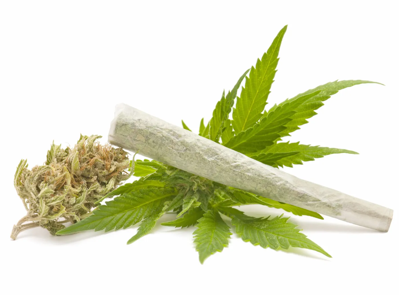 Marihuana jednak nie zmniejsza bólu. Nowe odkrycie