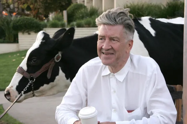 David Lynch, Wes Studi i Lina Wertmueller laureatami Oscarów honorowych