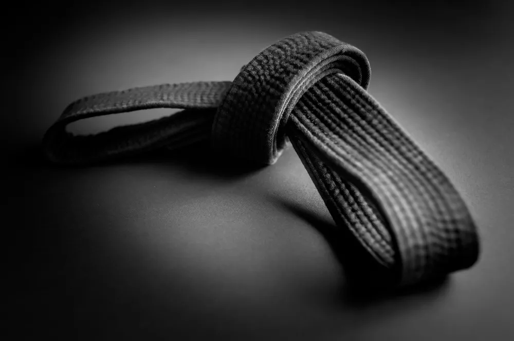 Pas judo