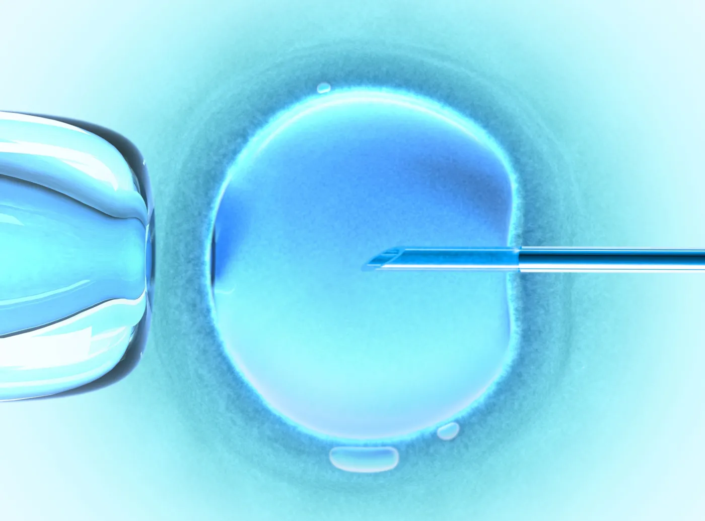 in vitro