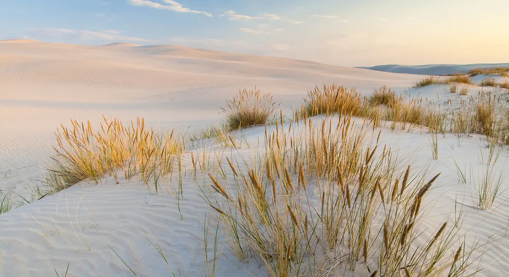 Rzecznik rządu: Zachęcam do wakacji w Polsce