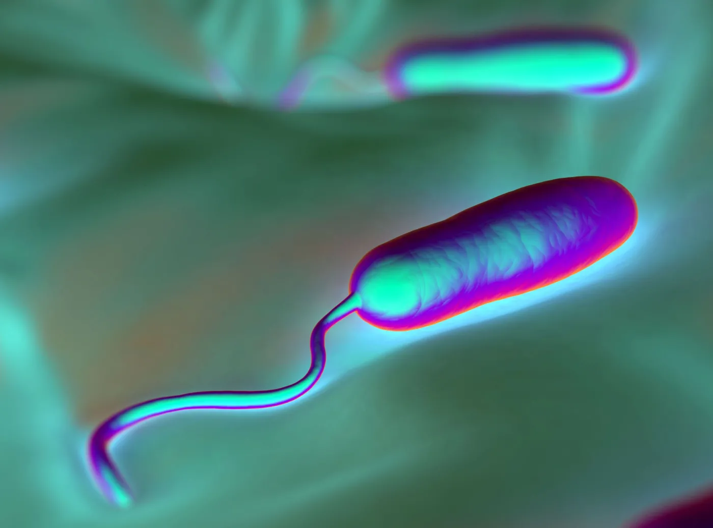6239110-cholera.jpg