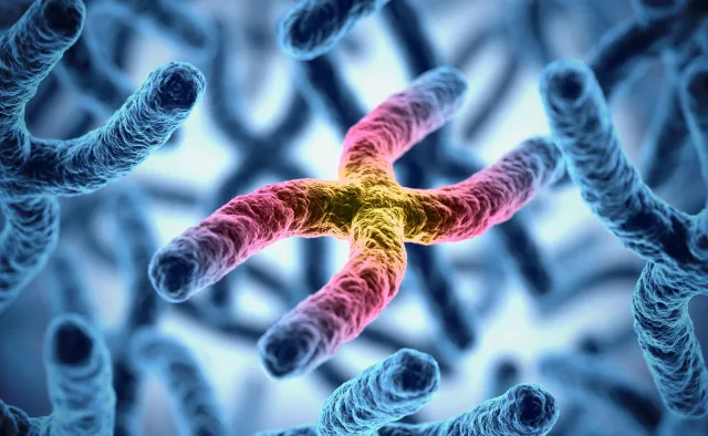 Jeden na 500 mężczyzn ma dodatkowy chromosom płciowy. To wiąże się z ryzykiem...