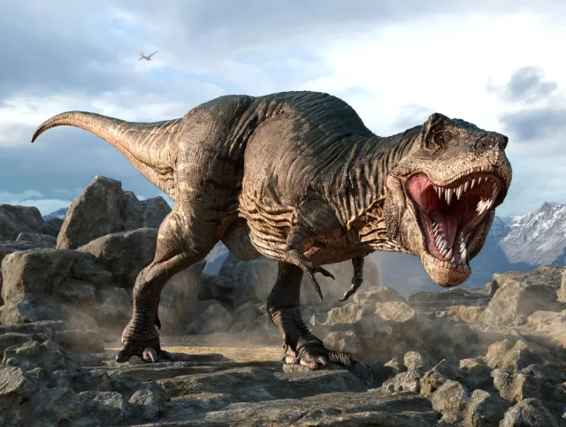 Tyranozaury inteligentne jak naczelne? Zdumiewające WYNIKI badań