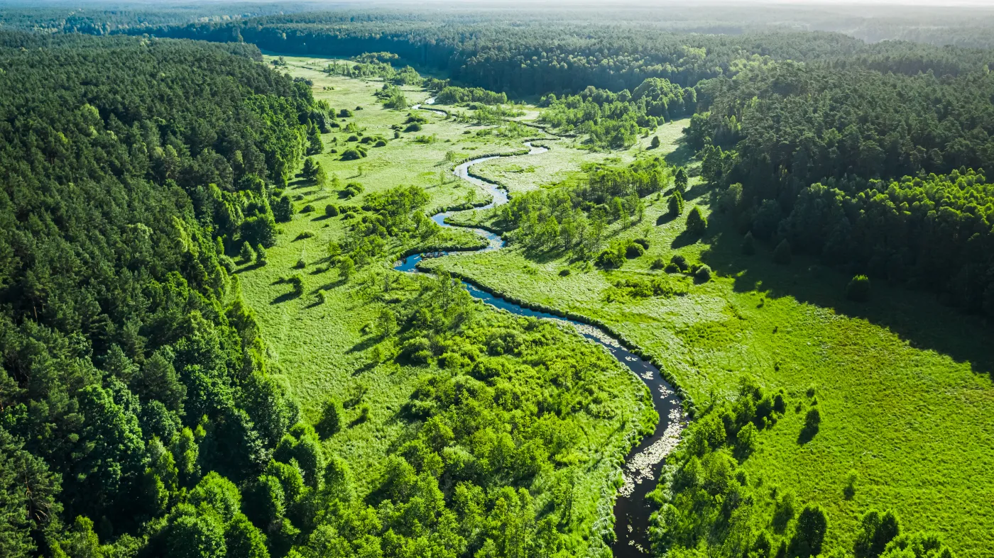Roztocze nazywane jest "polską Toskanią". W czym są do siebie podobne?