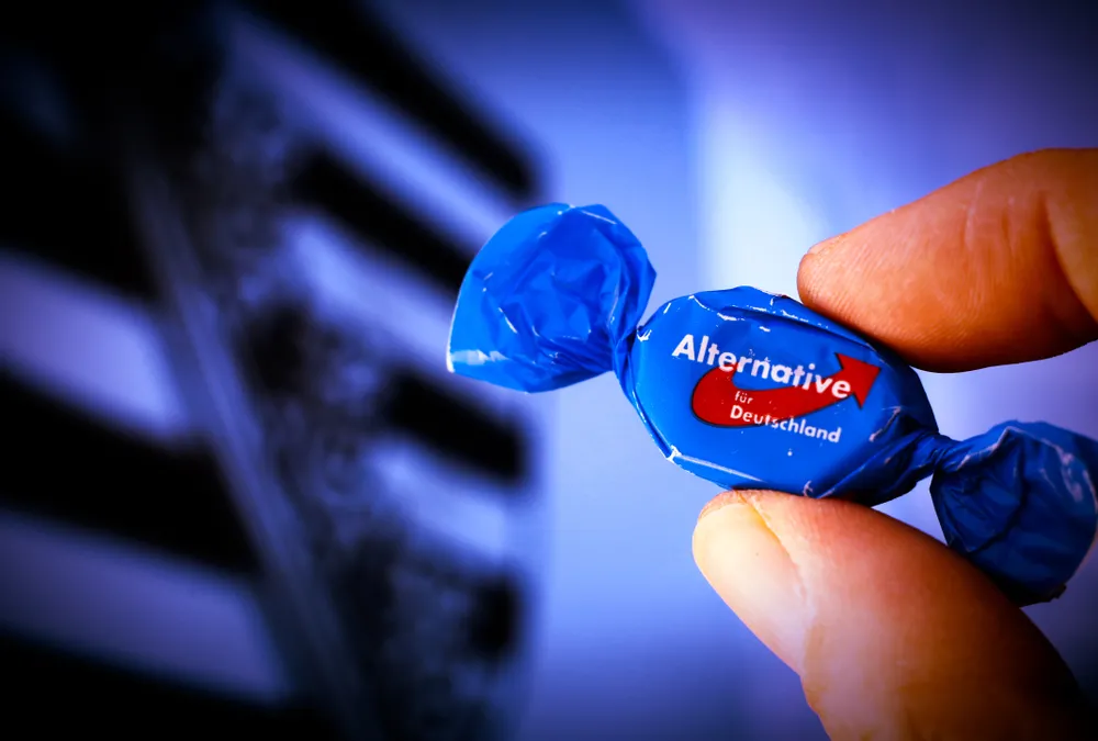 AfD, Niemcy 