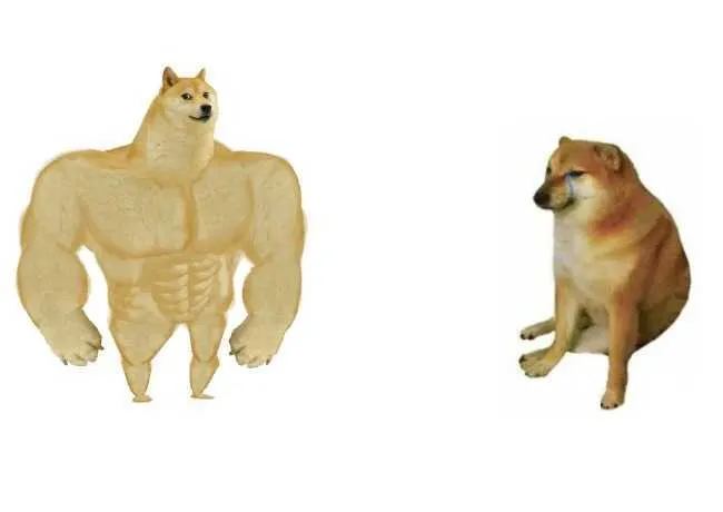 Cheems