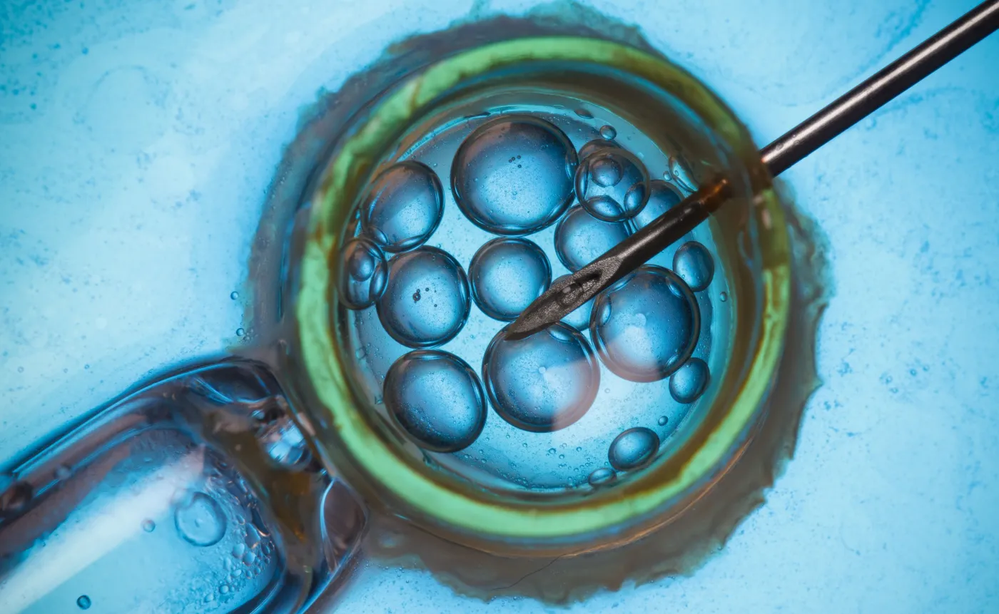 In vitro