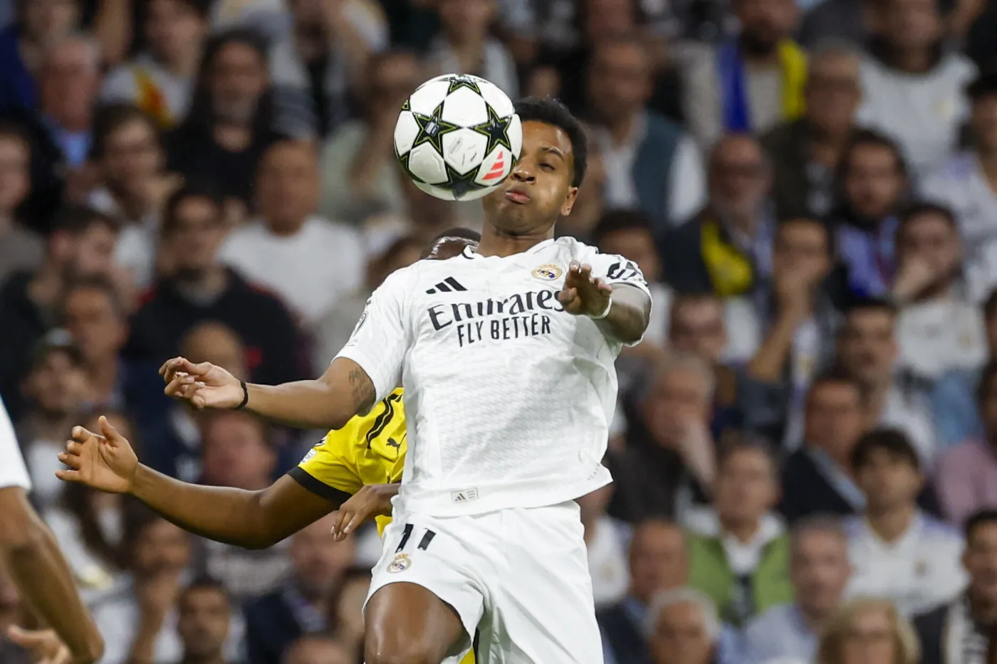 Real poważnie osłabiony przed el Clasico. Courtois i Rodrygo nie zagrają z Barceloną
