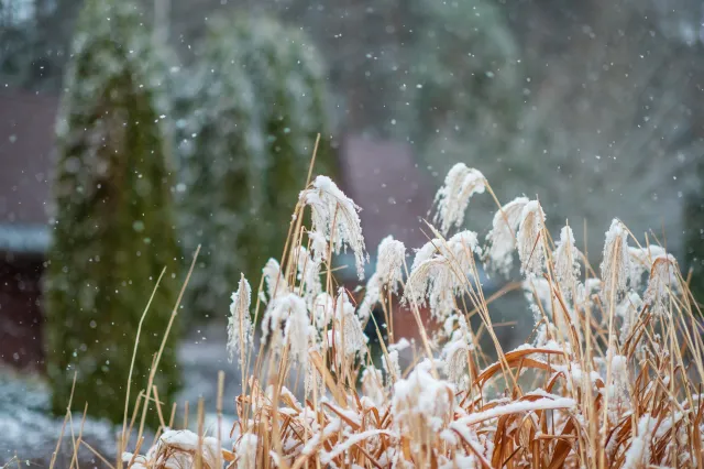 Zima przyjdzie wcześniej? Kiedy spadnie pierwszy śnieg? Niemieccy synoptycy już wiedzą [PROGNOZA DŁUGOTERMINOWA]