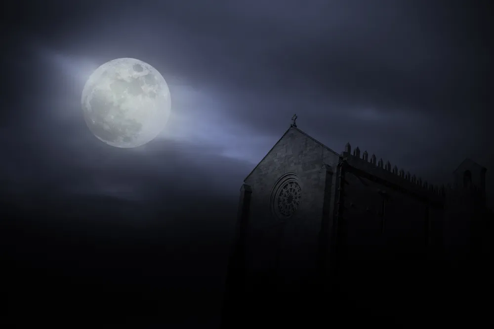 Kostiumowe trendy na Halloween 2024. Co króluje w wyszukiwaniach Google?