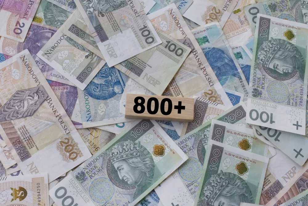800 plus tylko dla pracujących Ukraińców. Tego chcą Polacy. "Logiczne"