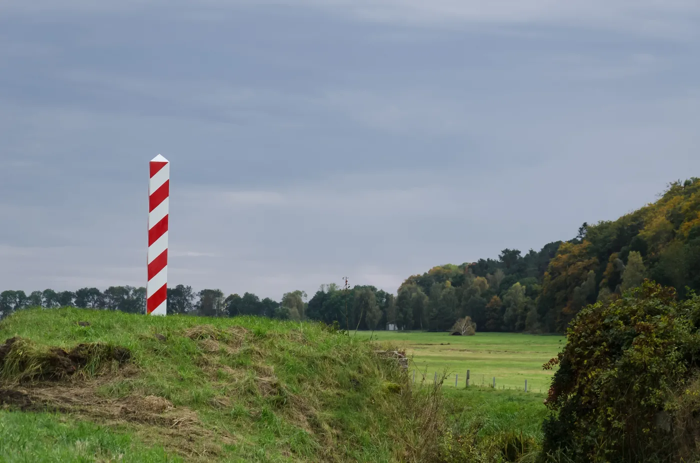 Koniec procesu aktywistów, którzy pomagali migrantom. Jaki zapadł wyrok?