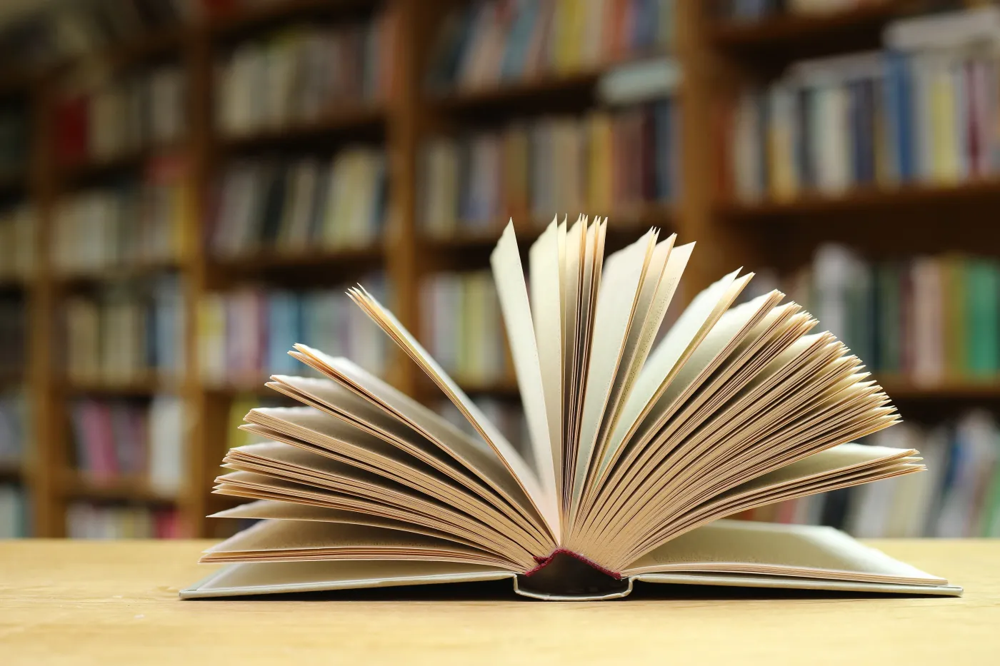 Arcydzieła światowej literatury. Dopasuj postać do powieści. QUIZ dla moli książkowych