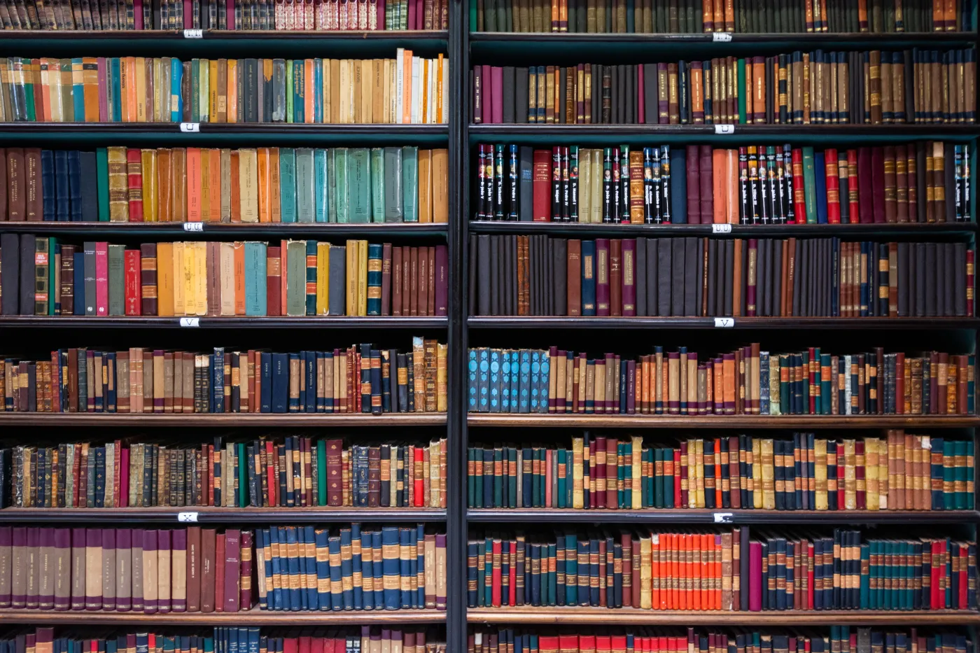 Arcydzieła literackie. Dopasuj postać do powieści. Quiz dla moli książkowych